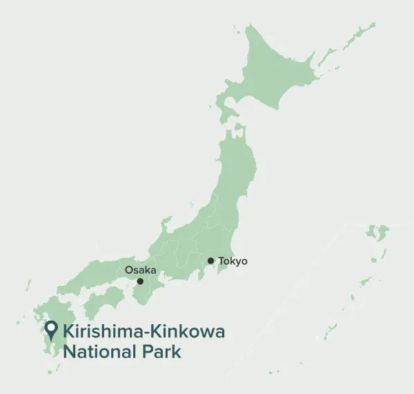GENMAICHA sencha Kirishima 100 gr